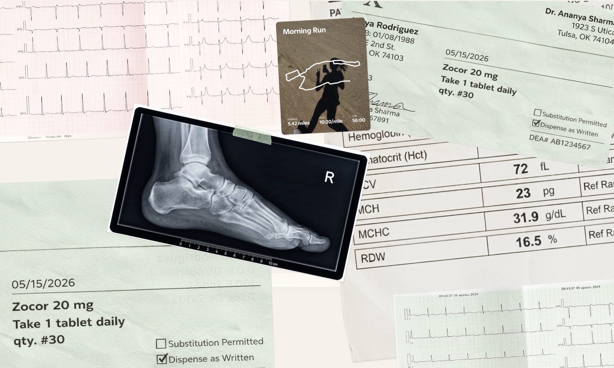 A diagrammatic representation of how Copilot Health sorts data