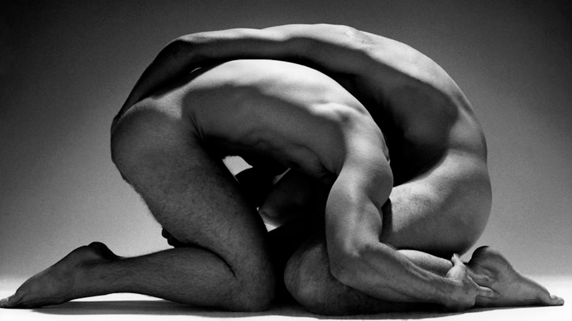 A photography by Roy Blakey